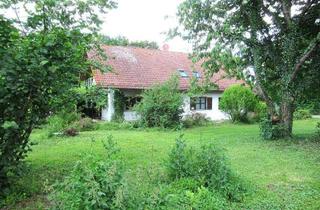 Haus mieten in 85416 Langenbach, Ch.Schülke Immobilien, Großes Einfamilienhaus mit Platz für zwei Generationen