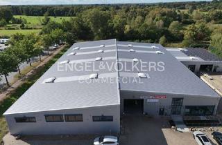 Gewerbeimmobilie mieten in 27283 Verden, Hochwertige Produktionsfläche an der A27