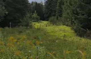 Grundstück zu kaufen in 14513 Teltow, Schönes Baugrundstück in ruhiger Privatstraße - Sackgasse am Teltower Park