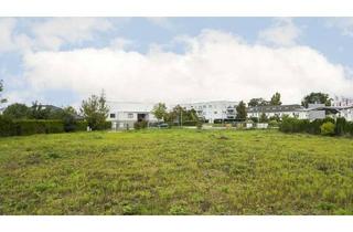 Grundstück zu kaufen in 14542 Werder (Havel), "Attraktives Baugrundstück mit 2.608 m² im Innenbereich in den Havelauen - parzellierbar"