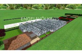 Gewerbeimmobilie kaufen in 27308 Kirchlinteln, Gärtnerei- und Gewerbeareal zu verkaufen