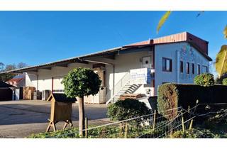 Büro zu mieten in 49377 Vechta, Vorabinformation - Gewerbehalle in Langförden