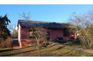 Einfamilienhaus kaufen in 29478 Höhbeck, Höhbeck - Haus in traumhaft idyllischer Lage an der Elbe (Provisionsfrei)