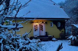 Einfamilienhaus kaufen in 24640 Schmalfeld, Schmalfeld - Einfamilienhaus mit Wohnung