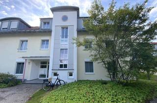 Wohnung mieten in 87700 Amendingen, Wohnen "Im Paradies" in MM-Amendingen