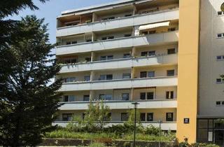 Wohnung mieten in Wittenberger Straße 21, 12689 Marzahn, 1 Zimmer Wohnung mit großem Balkon - Altersgerechtes Wohnen 55 plus