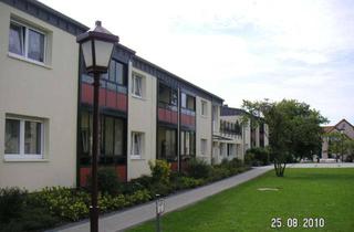 Sozialwohnungen mieten in Immengartenstraße, 67487 Maikammer, Nur mit WBS und für Menschen ab 60: 1-Zi-Apartment in gepflegter Seniorenwohnanlage!