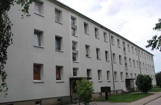 Wohnung mieten in Neubaublock 1a, 17509 Kemnitz, gemütliche 2- Raum- Wohnung im Herzen von Kemnitz