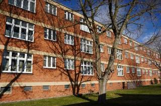 Wohnung mieten in Peterholzstraße 56, 06849 Süd, Wohnen im Weltkulturerbe