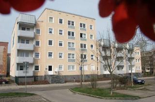 Wohnung mieten in Am Gestänge 08, 06844 Innenstadt, 2-RWE im Zentrum