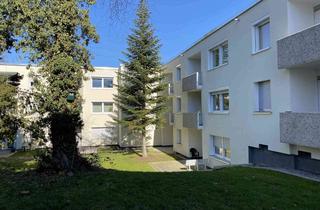 Wohnung mieten in Mahlscheidt, 44357 Oestrich, 1-Zimmer Single Appartment mit sonniger Terrasse!