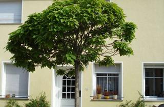 Wohnung mieten in Am Markt 13, 14558 Nuthetal, 3-Zimmer-Maisonette mit Galerie & großem Privatgarten – ideal für Singles oder Paare