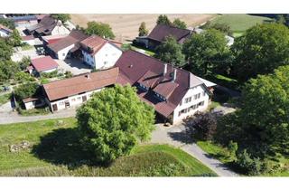 Wohnung mieten in Neufeldsiedlung, 74889 Sinsheim, Schöne große Wohnung in einem Haus auf einem Aussiedlerhof inclusive 1000 Quadratmeter Garten