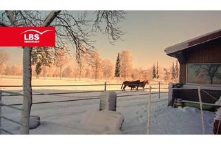 Haus kaufen in 49586 Neuenkirchen, Genießen Sie den Traum vom Wohnen in idyllischer Natur mit Ihren Pferden