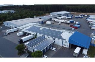 Gewerbeimmobilie mieten in 54552 Nerdlen, Nerdlen | Hallenflächen zur Lagerung | ca. 5.500 m² | mehrere Rampen | komplett Lösungen