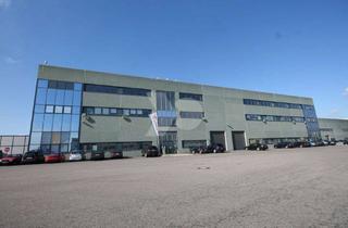 Gewerbeimmobilie mieten in Robert-Bunsen-Str. 34, 64579 Gernsheim, Top Lagerfläche von ca. 7.180 m² mit 11,50 m Deckenhöhe