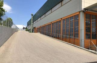 Gewerbeimmobilie mieten in Zeissstrasse 5-7, 71254 Ditzingen, Produktions & Lagerhalle an der A81 (Einheit 1)