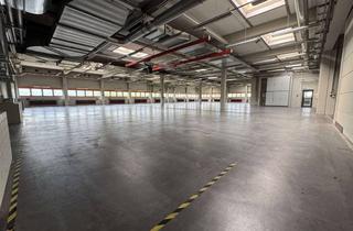 Gewerbeimmobilie mieten in Zeissstrasse 5-7, 71254 Ditzingen, Produktions & Lagerhalle an der A81 (Einheit 1)