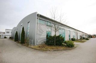 Gewerbeimmobilie mieten in 76437 Rastatt, Mulitfunktionale Lagerflächen!! Halle 3 - Teil 2