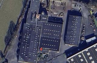 Gewerbeimmobilie mieten in 48361 Beelen, Industriehallen mit Freifläche, auch perfekt für Logistik