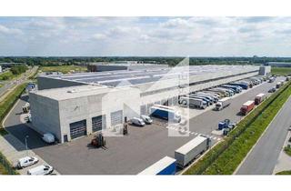 Gewerbeimmobilie mieten in 59199 Bönen, PROVISIONSFREI | CROSS-DOCK | RAMPEN | EBENERDIG | HALLE | BÜRO | SPRINKLER | COMSTATE