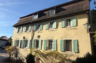 Anlageobjekt in 74206 Bad Wimpfen, NEW *Paul & Partner* HISTORIE BEWAHREN! WOHNRAUM SCHAFFEN! DENKMALENTWICKLUNG IN BAD WIMPFEN!