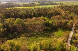 Grundstück zu kaufen in 67677 Enkenbach-Alsenborn, Sonniger Bauplatz in sehr schöner, ruhiger Waldrandlage - Teilbar! - 1 km bis Enkenbach