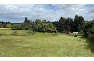 Grundstück zu kaufen in 17440 Lütow, Natur Pur! Bauplatz in Lütow