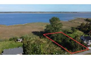 Grundstück zu kaufen in 18445 Groß Mohrdorf, Wohnen am Wasser