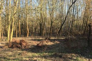 Gewerbeimmobilie kaufen in Erlenweg, 14532 Kleinmachnow, KEIN BAULAND -Grundstück in Kleinmachnow-