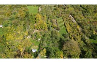 Gewerbeimmobilie kaufen in 74219 Möckmühl, Tolles Freizeitgrundstück mit Obstbäumen und Hütte