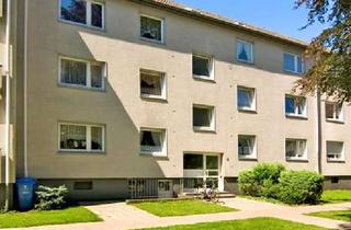 Wohnung mieten in Stettiner Straße 15, 52351 Düren, 3 Zimmer im EG – modern, frisch und am 15.02.2026 bezugsbereit in Düren