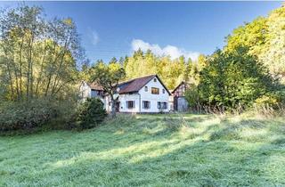 Haus kaufen in 98646 Hildburghausen, Historische Mühle mit Bachlauf und zwei Wohneinheiten in einzigartiger Lage