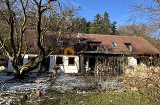 Einfamilienhaus kaufen in 85301 Schweitenkirchen, Paradies für Mensch und Tier:grosses Einfamilienhaus mit Offenstall 50 km nördlich von München