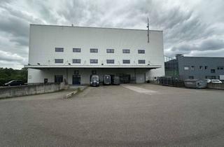 Gewerbeimmobilie mieten in Schaffhauser Straße 22, 79713 Bad Säckingen, Gut angebundene Lagerflächen im Fachmarktumfeld