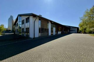 Büro zu mieten in 54516 Wittlich, Wittlich-Wengerohr | Lager-/ Produktionsfläche | Büro | Ausstellungsfläche