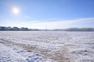 Grundstück zu kaufen in 67141 Neuhofen, Attraktives Bauerwartungsland mit ca. 1.200 m² in Neuhofen bei Ludwigshafen