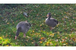 Haus kaufen in 70378 Stuttgart, Stuttgart - 321 - Endlich ins eigene Zuhause