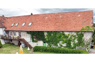 Bauernhaus kaufen in 66440 Blieskastel, Blieskastel-Böckweiler - Raum für Ideen: Bauernhaus mit Mehrwert: Haupthaus und 4 vermietete Wohneinheiten