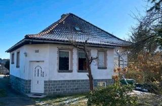 Einfamilienhaus kaufen in 03238 Finsterwalde, Finsterwalde - Freistehendes Einfamilienhaus mit großem Garten, Pool und Sauna