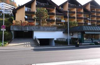 Wohnung kaufen in Bahnhofstraße 14, 75378 Bad Liebenzell, 1 -Zimmer Appartement mit Garage