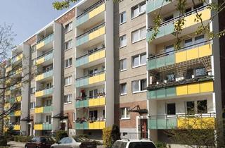 Wohnung mieten in Ringenwalder Straße 43, 12679 Marzahn, Große 1-Raumwohnung