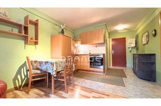 Wohnung mieten in 93339 Riedenburg, *** Möblierte 2-Zimmer-Wohnung mit 2 Balkonen & TG-Stellplatz in Riedenburg/Gundlfing zur Miete ***