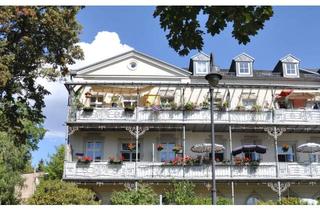 Wohnung mieten in Prof.-Paul-Köhler-Straße, 08645 Bad Elster, 2-Zimmer-Dachgeschosswohnung am Kurpark