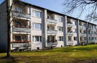 Wohnung mieten in Grüningweg 34, 22119 Horn, Renovierte und helle 3-Zimmer-Wohnung mit großem Balkon ins Grüne