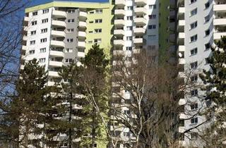 Wohnung mieten in Senftenberger Ring 84, 13435 Wittenau, 1-Zimmer-Wohnung im märkischen Viertel