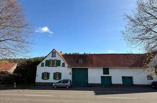 Haus kaufen in 67305 Ramsen, Historischer Hof mit Einliegerwohnung, Scheune & viel Platz zum Entfalten