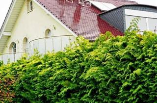 Haus mieten in Elisabeth Selbert 11, 34253 Lohfelden, Modernes freistehendes Einfamilienhaus in Lohfelden