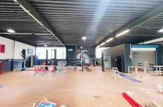 Gewerbeimmobilie mieten in 86343 Königsbrunn, Renovierte Autowerkstatt mit 2 Hebebühnen, Waschhalle, gr. Untergeschoss und 8 Außenstellplätzen!