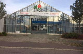 Gewerbeimmobilie mieten in Handelstraße 20, 04420 Markranstädt, Perfekte Lagerhalle nähe der Autobahn